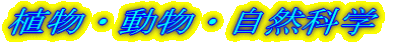 AEERȊw
